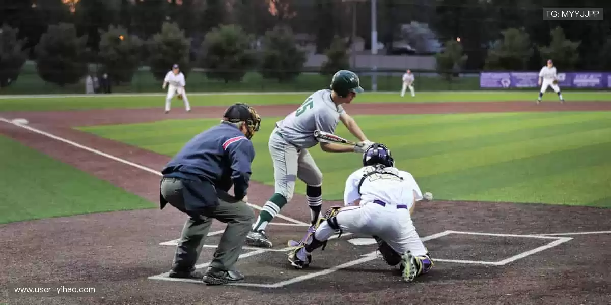 🎯 限量周边，粉丝专属！🎁